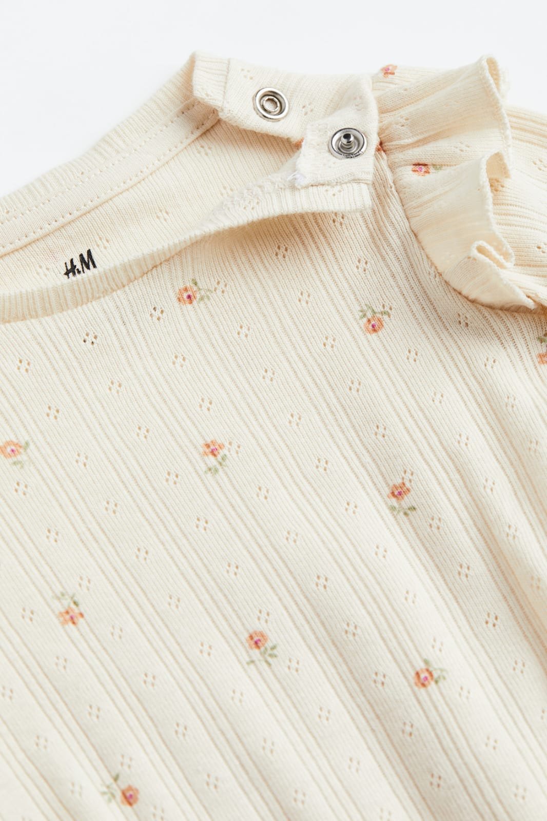 WhatsApp Image 2023-11-01 at 4.06.46 AM