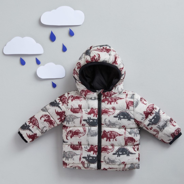 Primark dinosaur jacket